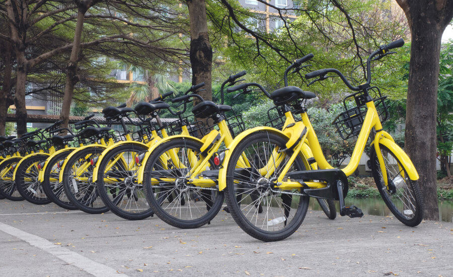 Pedaling Through Life: Embracing the Joy and Freedom of Bicycles, Biking, and Being a Biker